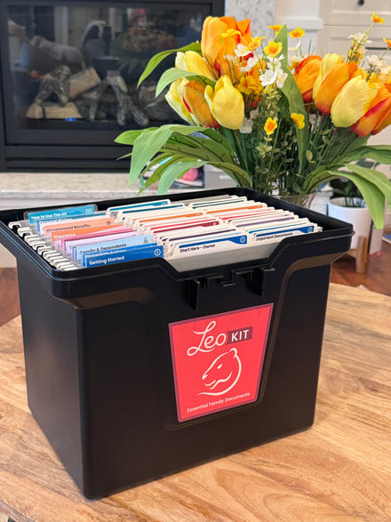 The box open, folders and color tabs visible